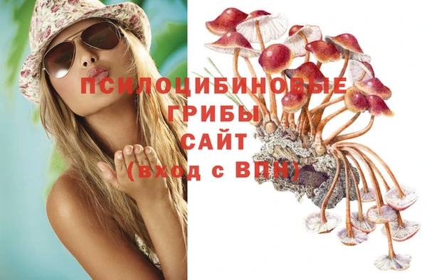 MESCALINE Пролетарск
